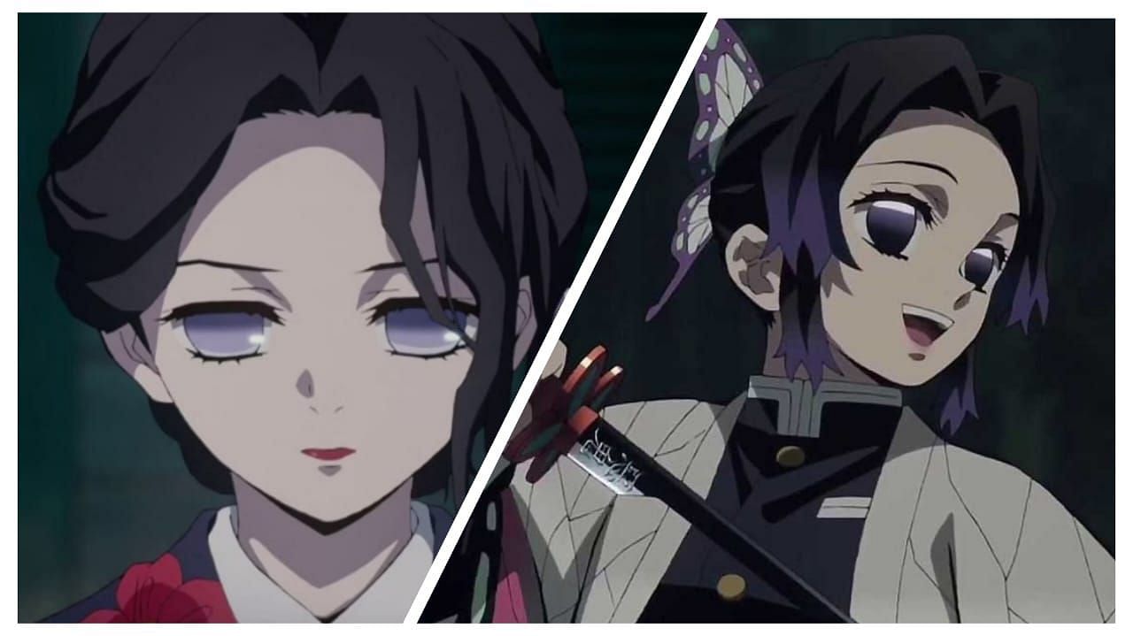 HD wallpaper: Anime, Demon Slayer: Kimetsu no Yaiba, Butterfly, Girl,  Shinobu Kochou | Wallpaper Flare