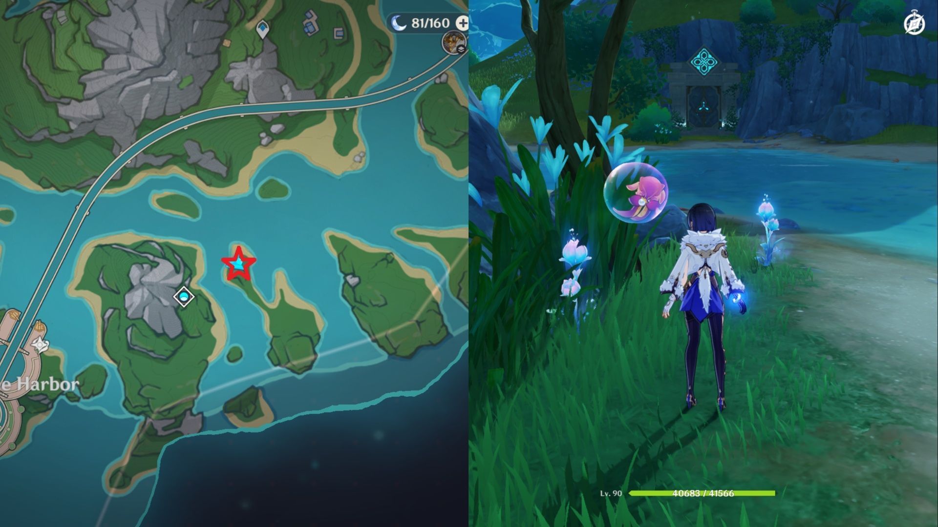 Romaritime Flower location (Image via HoYoverse)