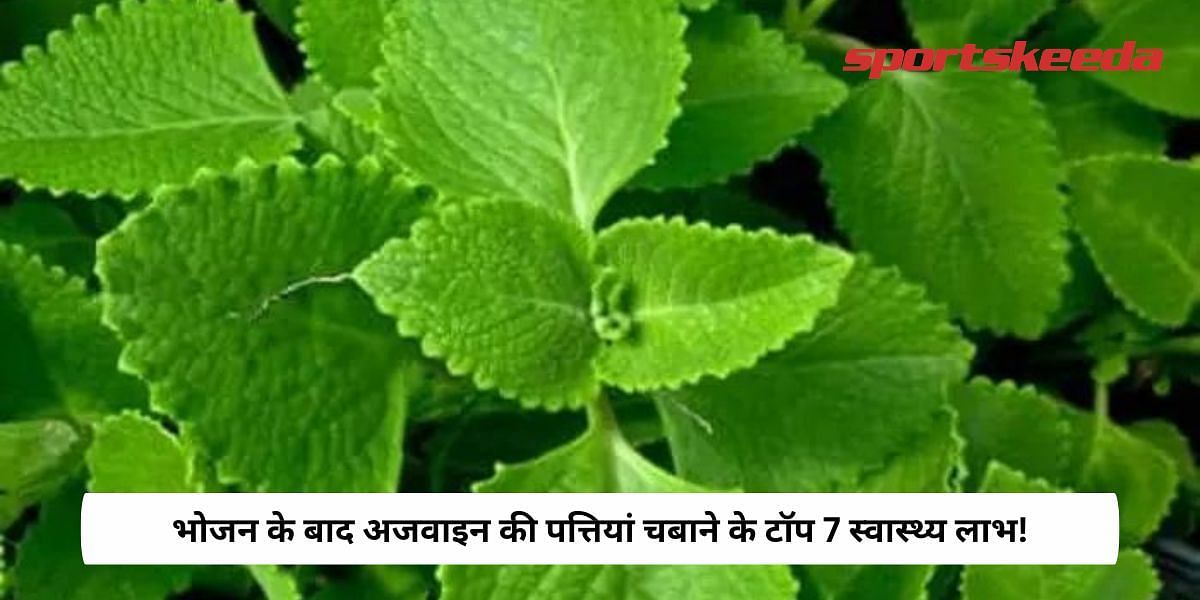 Top 7 Health Benefits Of Chewing Ajwain Leaves After Meal!