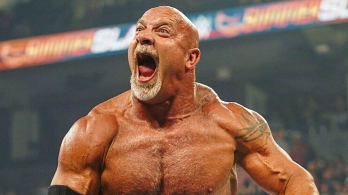 Goldberg made his WWE debut in 2003