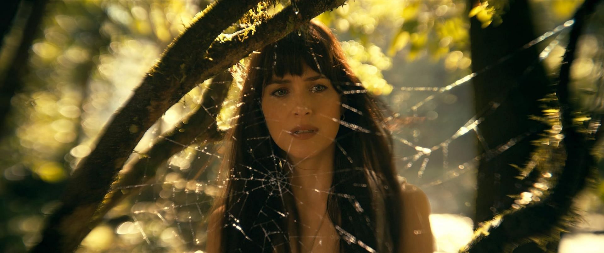 Dakota Johnson in Madame Web trailer (Image via Sony Pictures)
