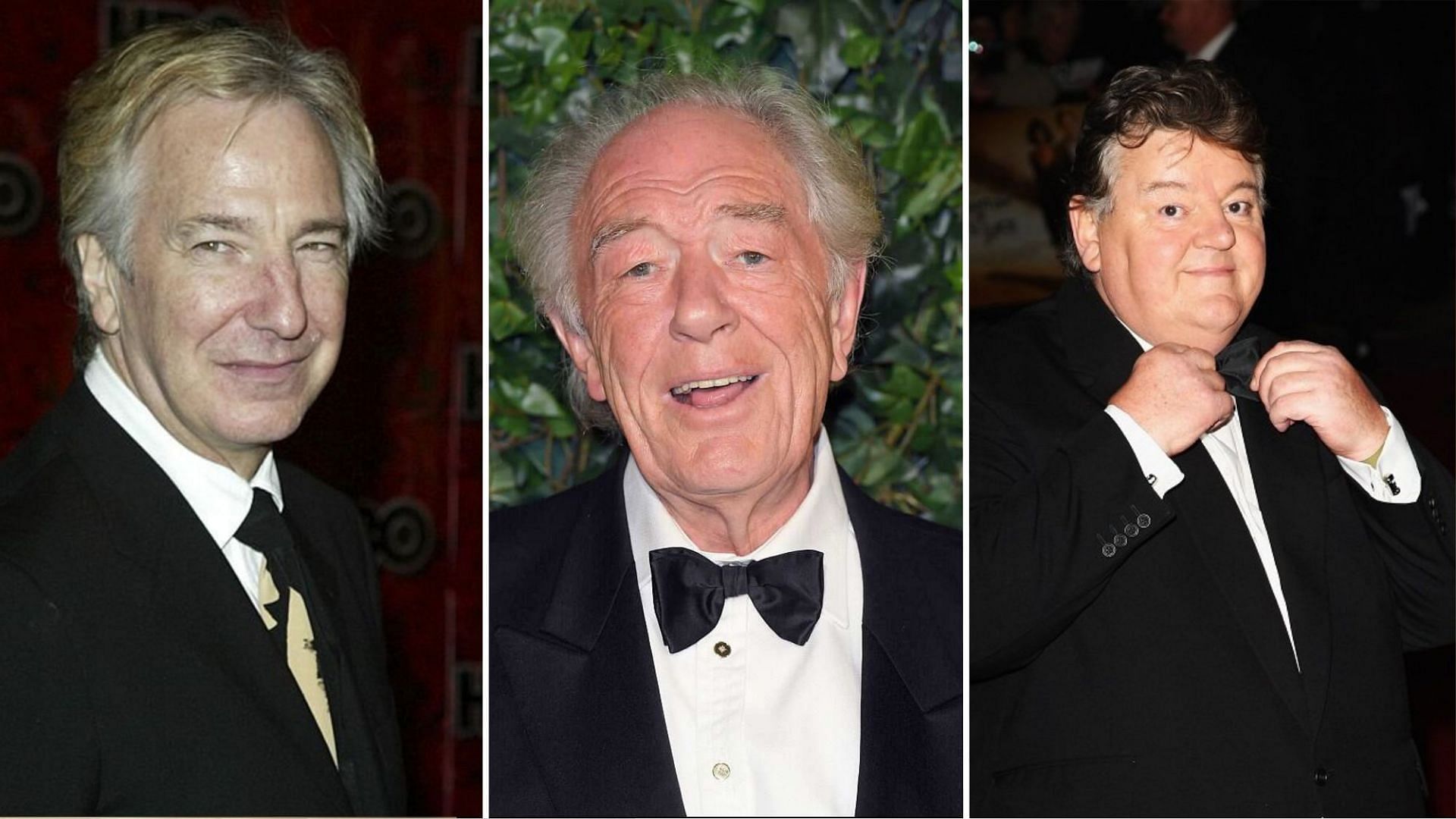 5 Harry Potter actors who have died (Images via Getty)