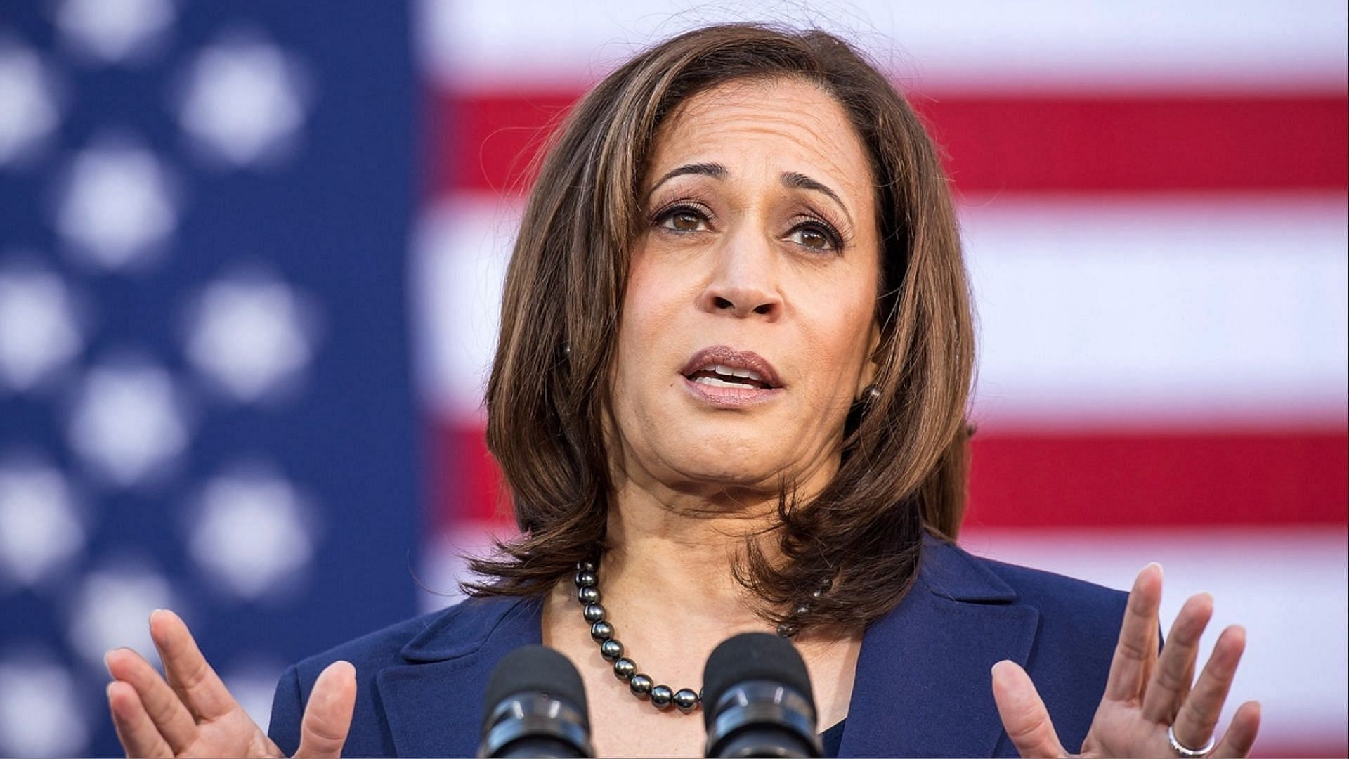 Social media users bashed Kamala Harris after many spotted a stove in her picture after the government advocated a ban on the same. (Image via Getty Images)