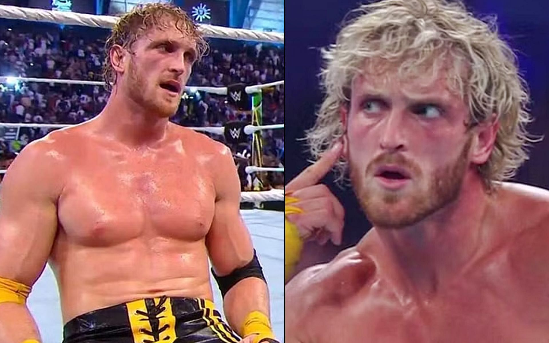 Logan Paul is your current United States Champion in the company.