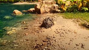 All ARK Survival Ascended Beaver Dam farm locations