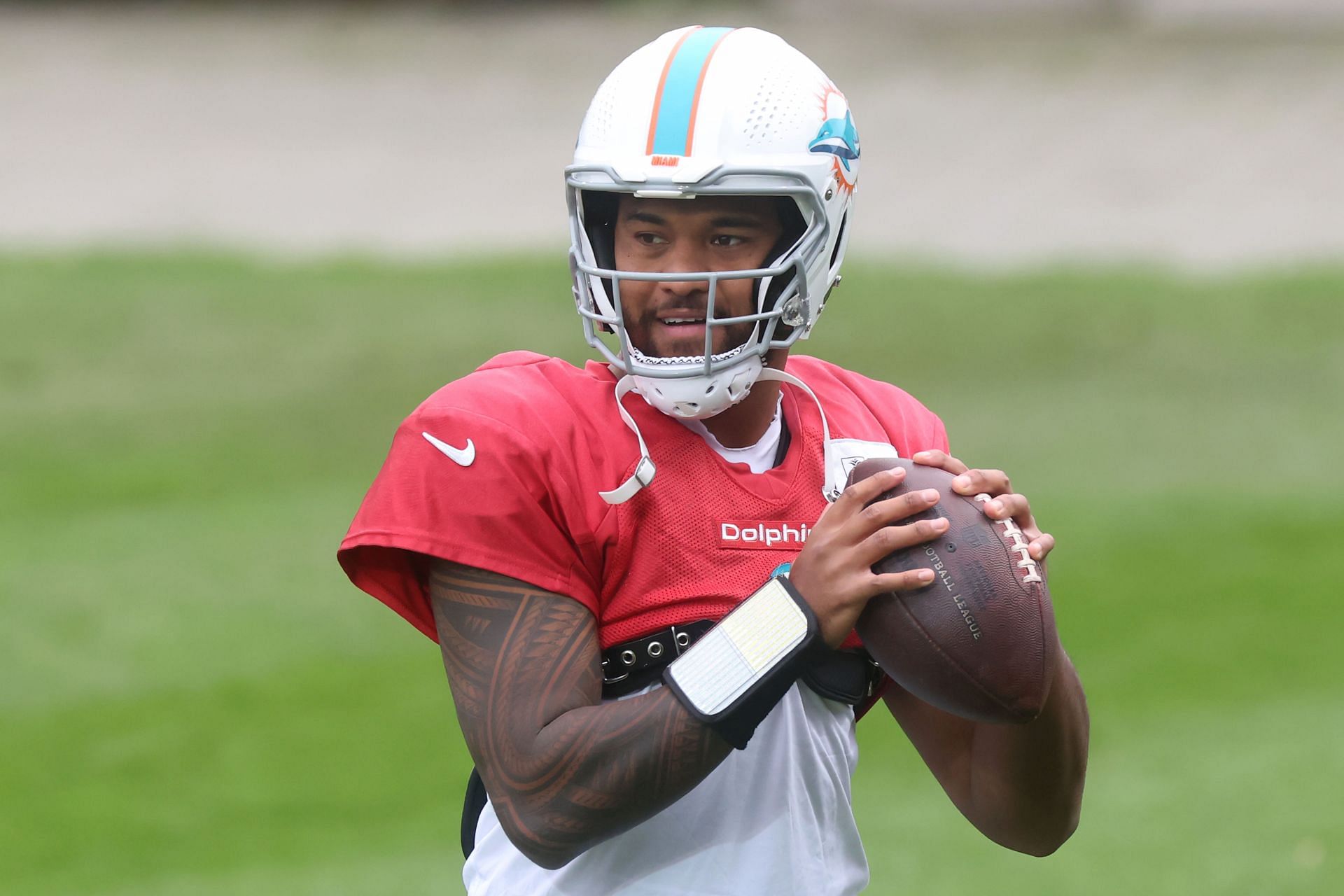 Miami Dolphins Training Session