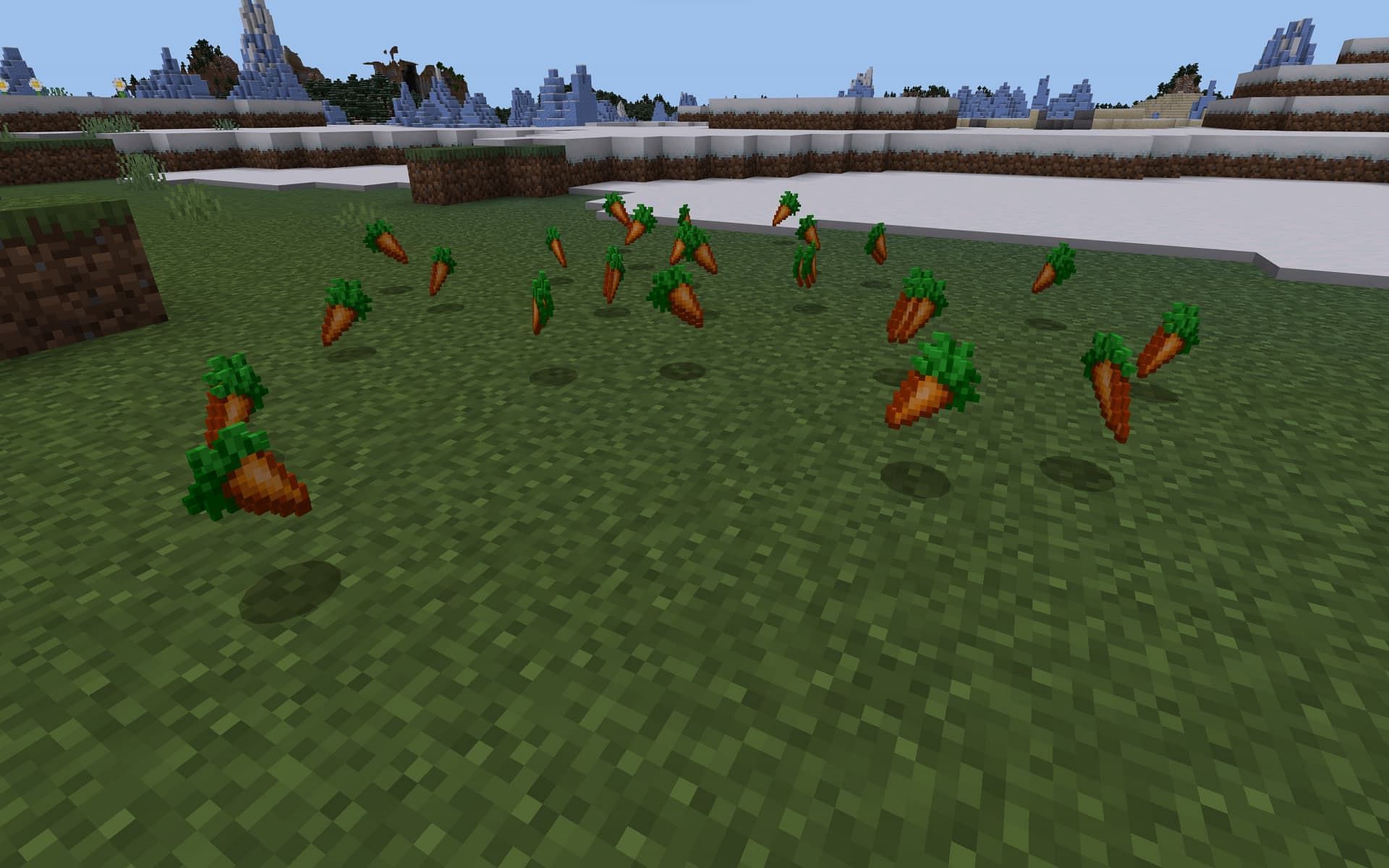 Hundreds of carrots line the ground in Minecraft