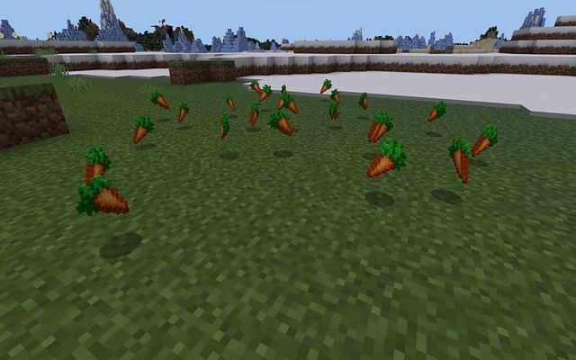 Minecraft Automatic Carrot Farm Guide 3281