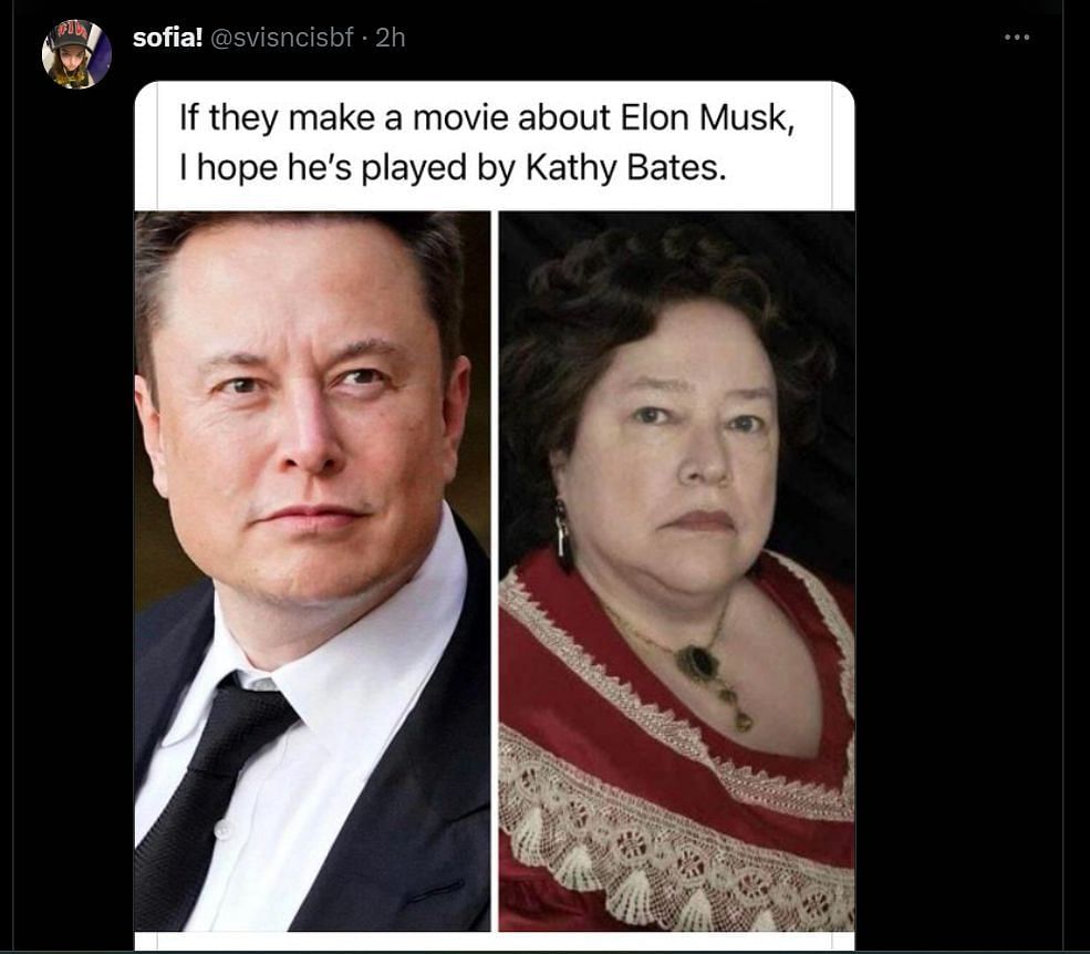 Uma resposta de tweet à postagem de DF sobre a cinebiografia de Musk (Imagem via X)