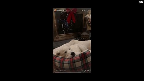 Olivia Dunne shares a cute story of her pup sleeping all cozy