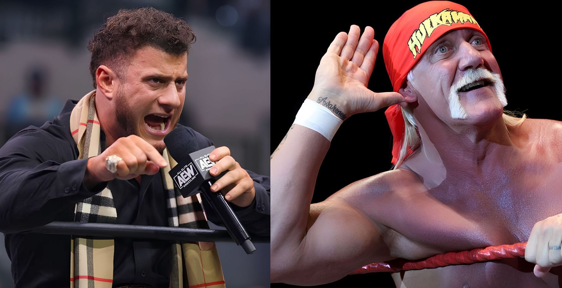 Maxwell Jacob Friedman(left) and Hulk Hogan(right) 