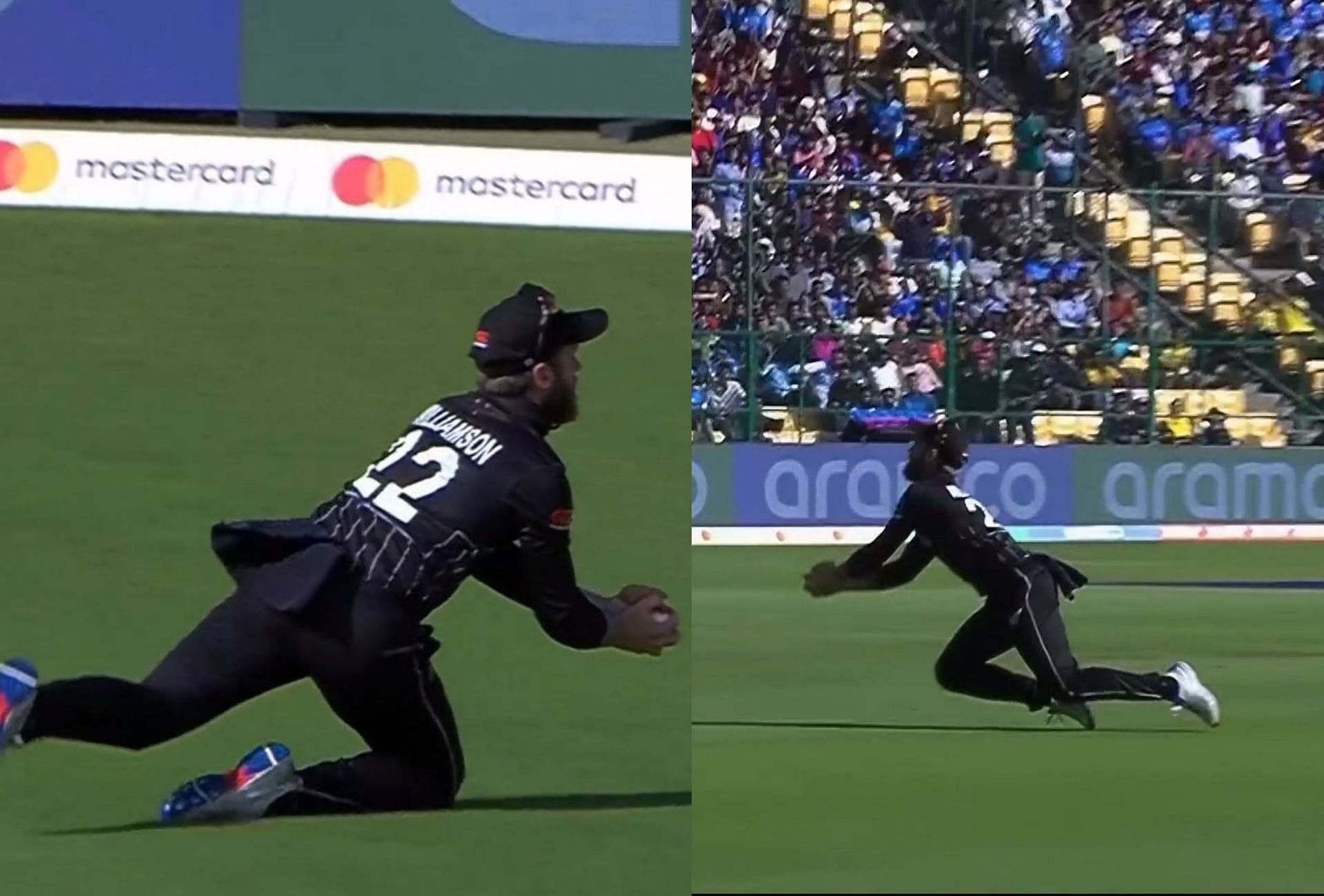 Kane Williamson took a magnificent catch on Saturday. 