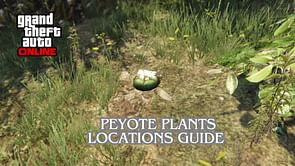 How to find all Peyote Plants in GTA Online: Location guide