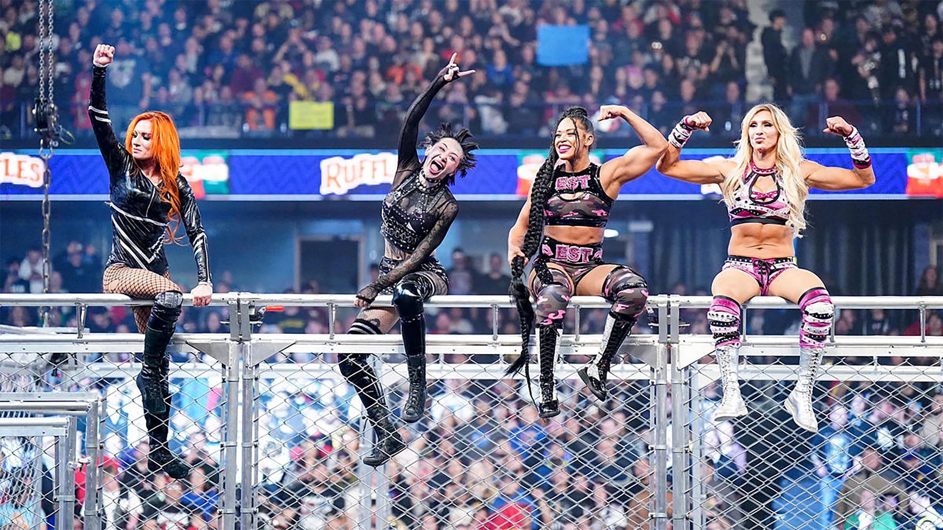 What was 'Match of the Night' at Survivor Series? - Cageside Seats