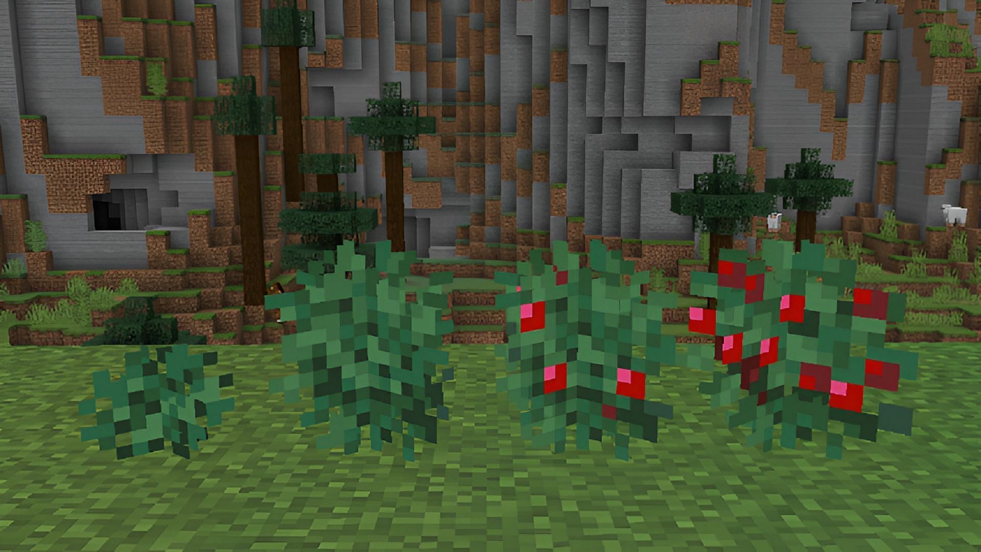 Sweet berries aren&#039;t just a food item in Minecraft (Image via Mojang)