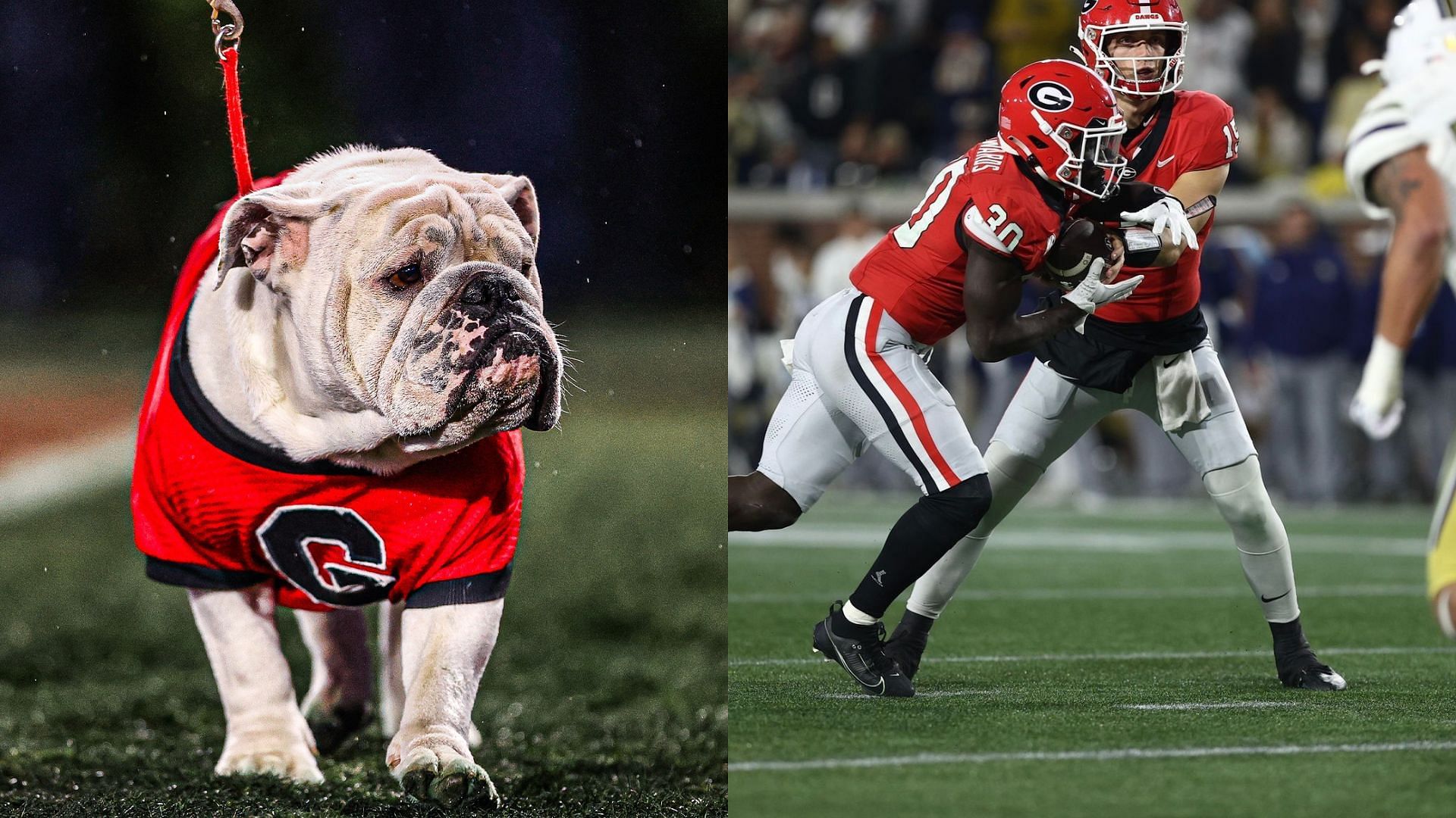 Georgia is the top dog in college football