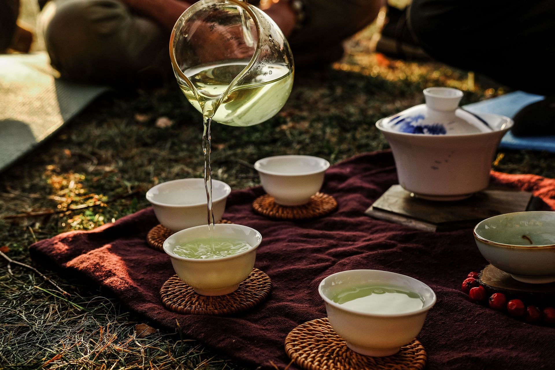 Herbal teas to avoid (Image via Unsplash/Sergey)