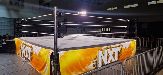 Photo: Olympic Gold Medalist shares WWE ring with family member for the first time