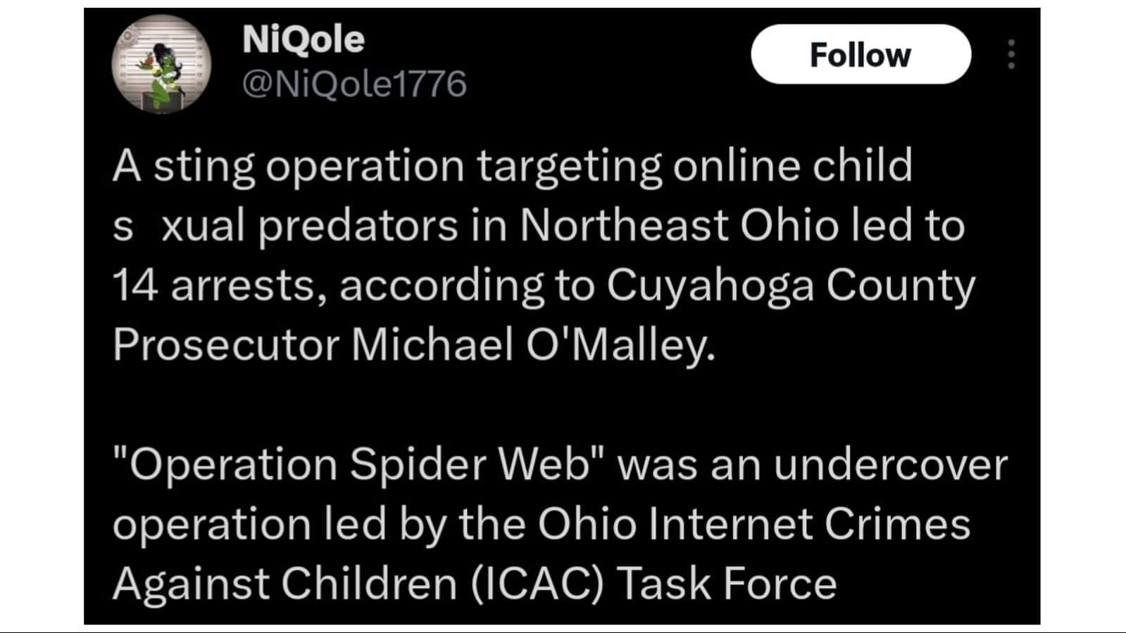 The sting operation was meant to find online child predators, (Image by NiQole/X)