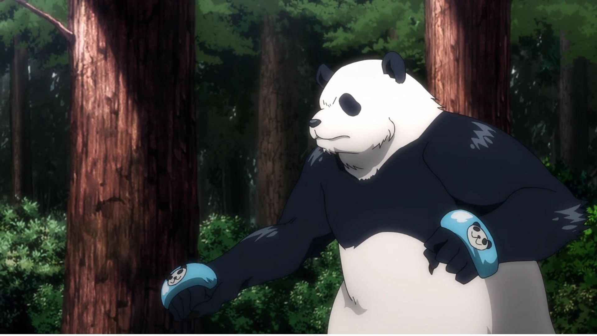 Panda as shown in anime (Image via Studio MAPPA)
