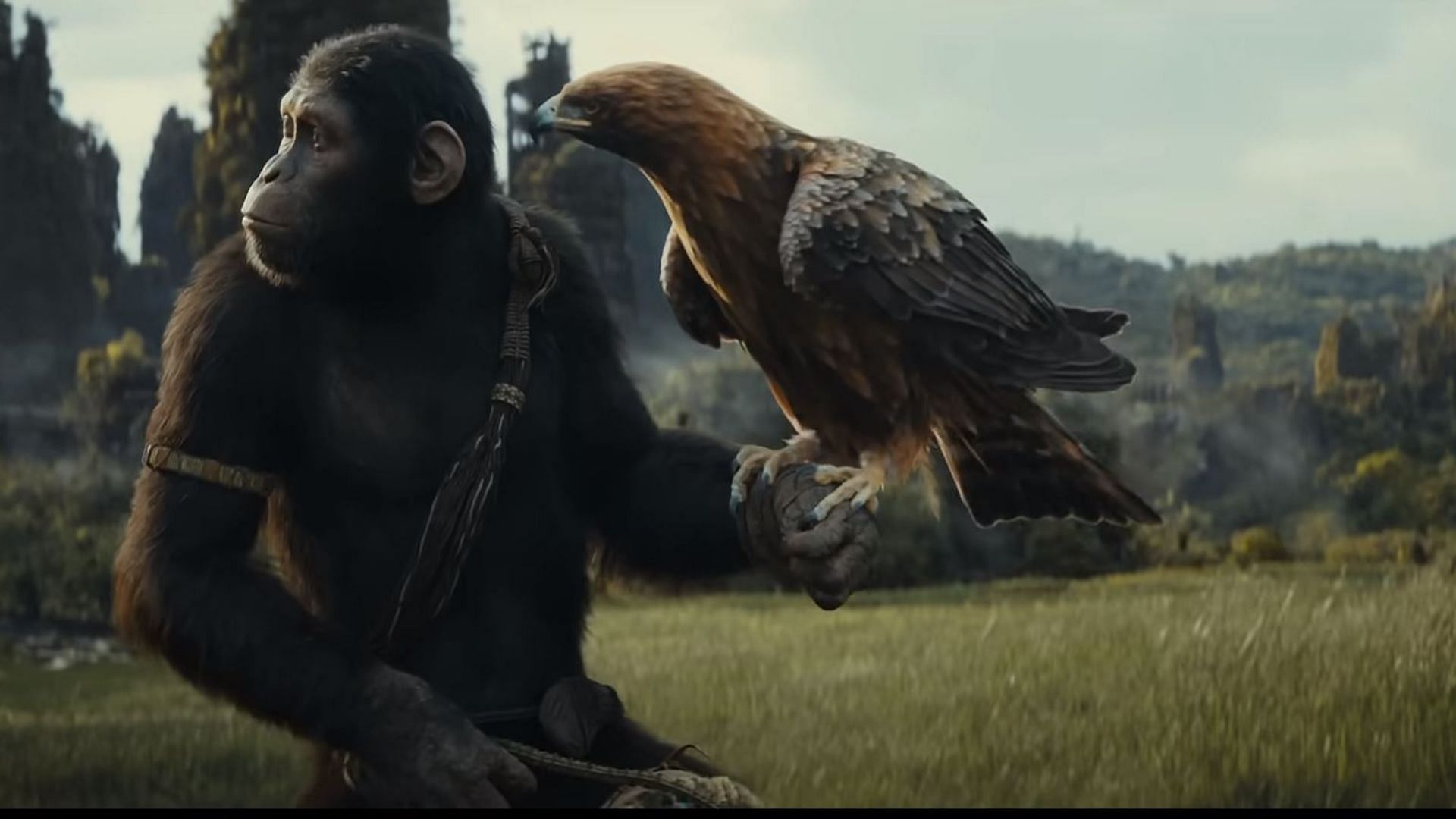 Kingdom of the Planet of Apes will hit screens next year. (Image: 20th Century Studios)
