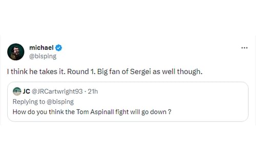 Michael Bisping's response regarding interim heavyweight title fight