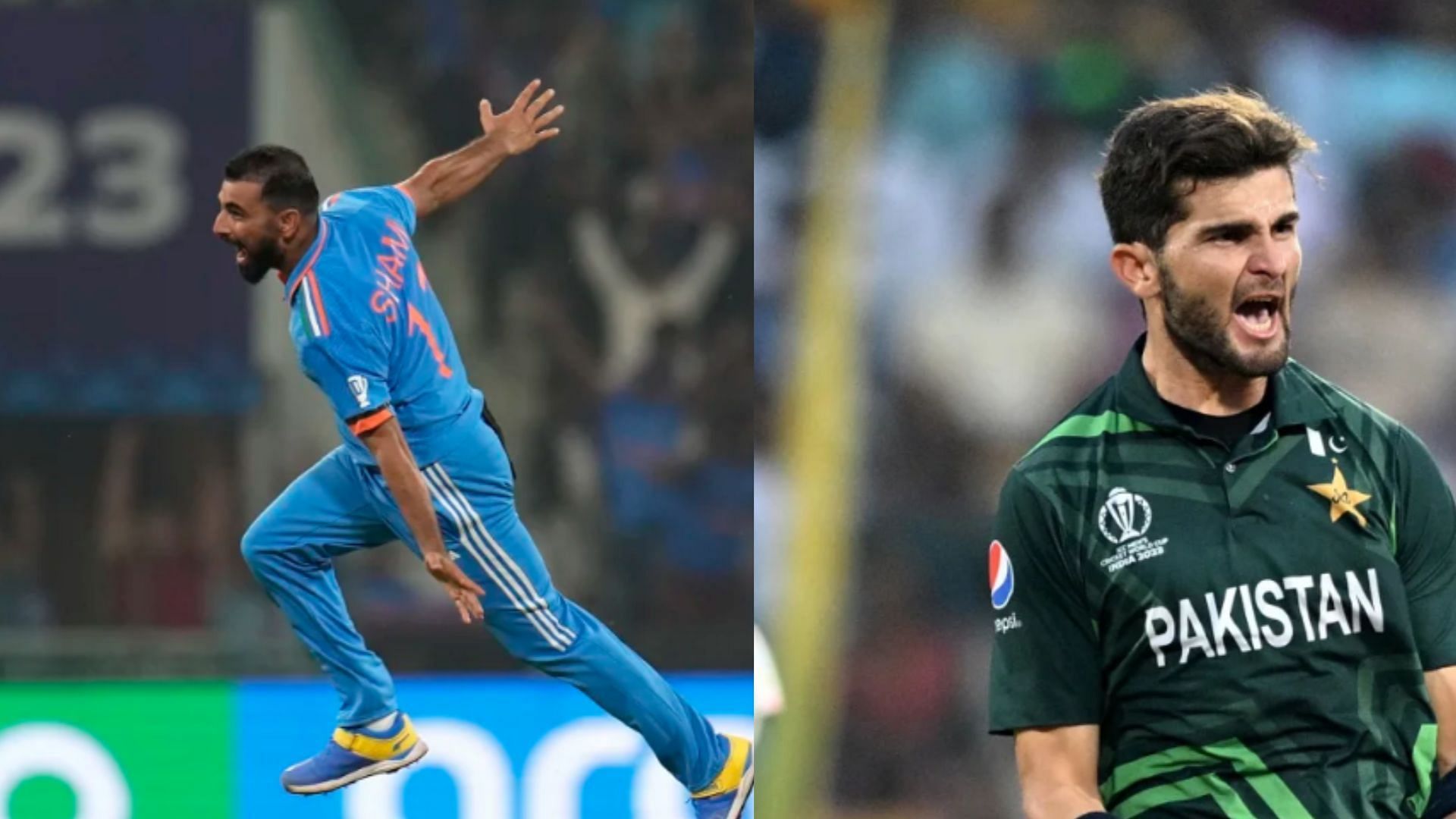 Mohammed Shami and Shaheen Afridi bowled a couple of superb spells in Week 4 of the World Cup. 