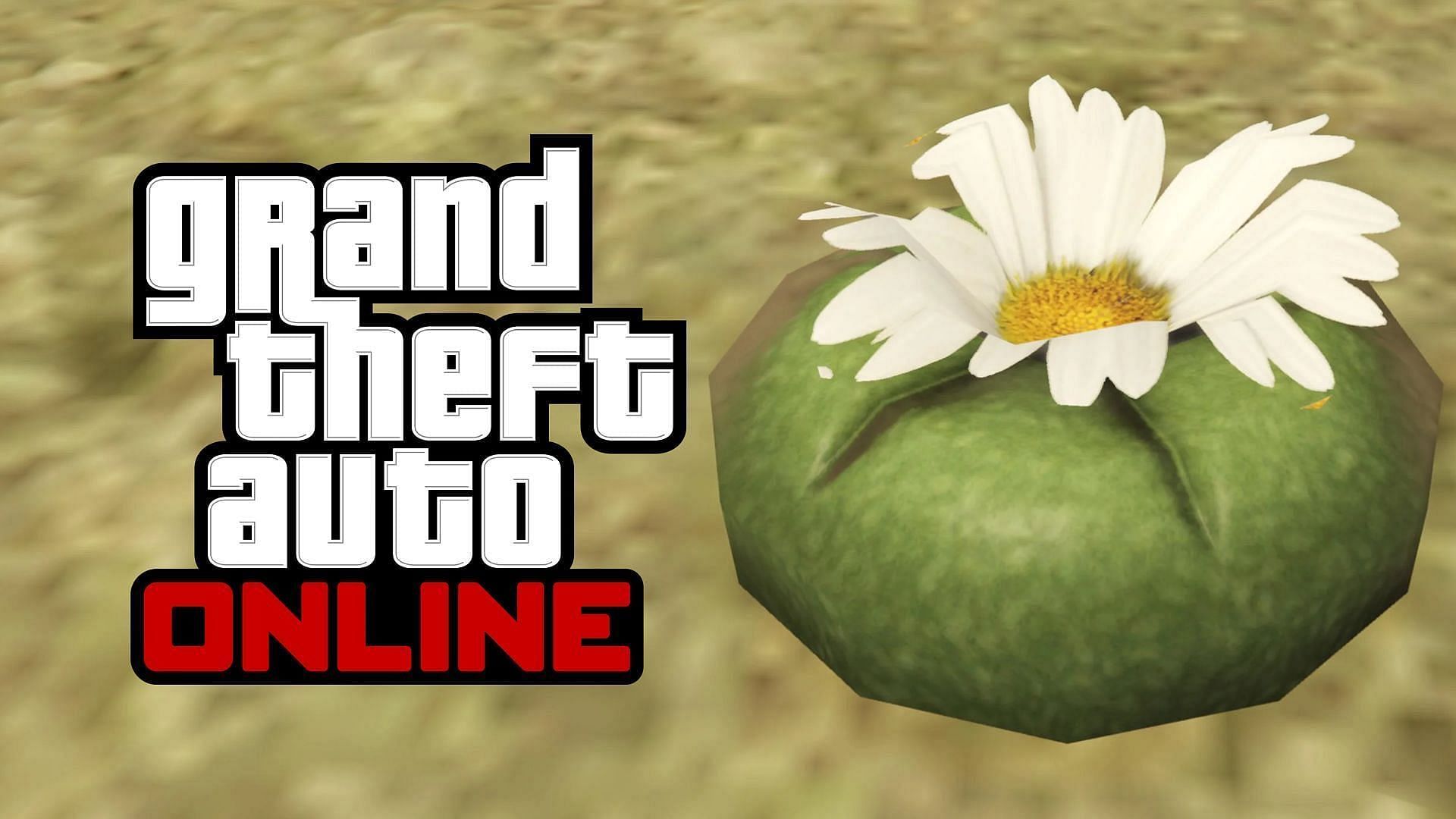 Peyote Plants have been added back into GTA Online (Image via Rockstar Games/ u/morsmutual_)