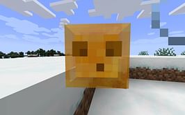 Minecraft players share interesting concept ideas for honey slimes