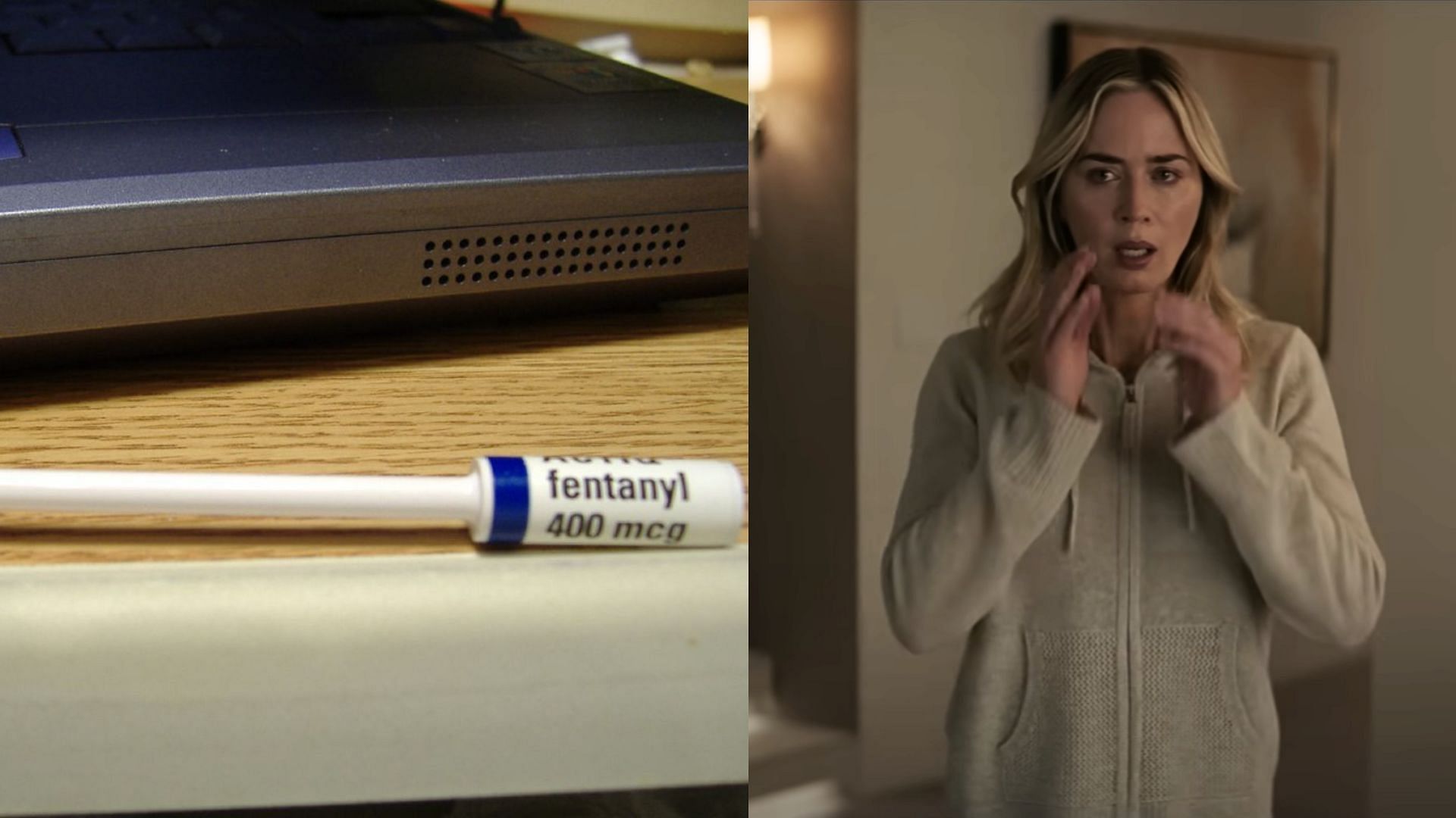 Lonafen is a fictional med depicted to have Fentanyl (Image via Netflix and Flickr)