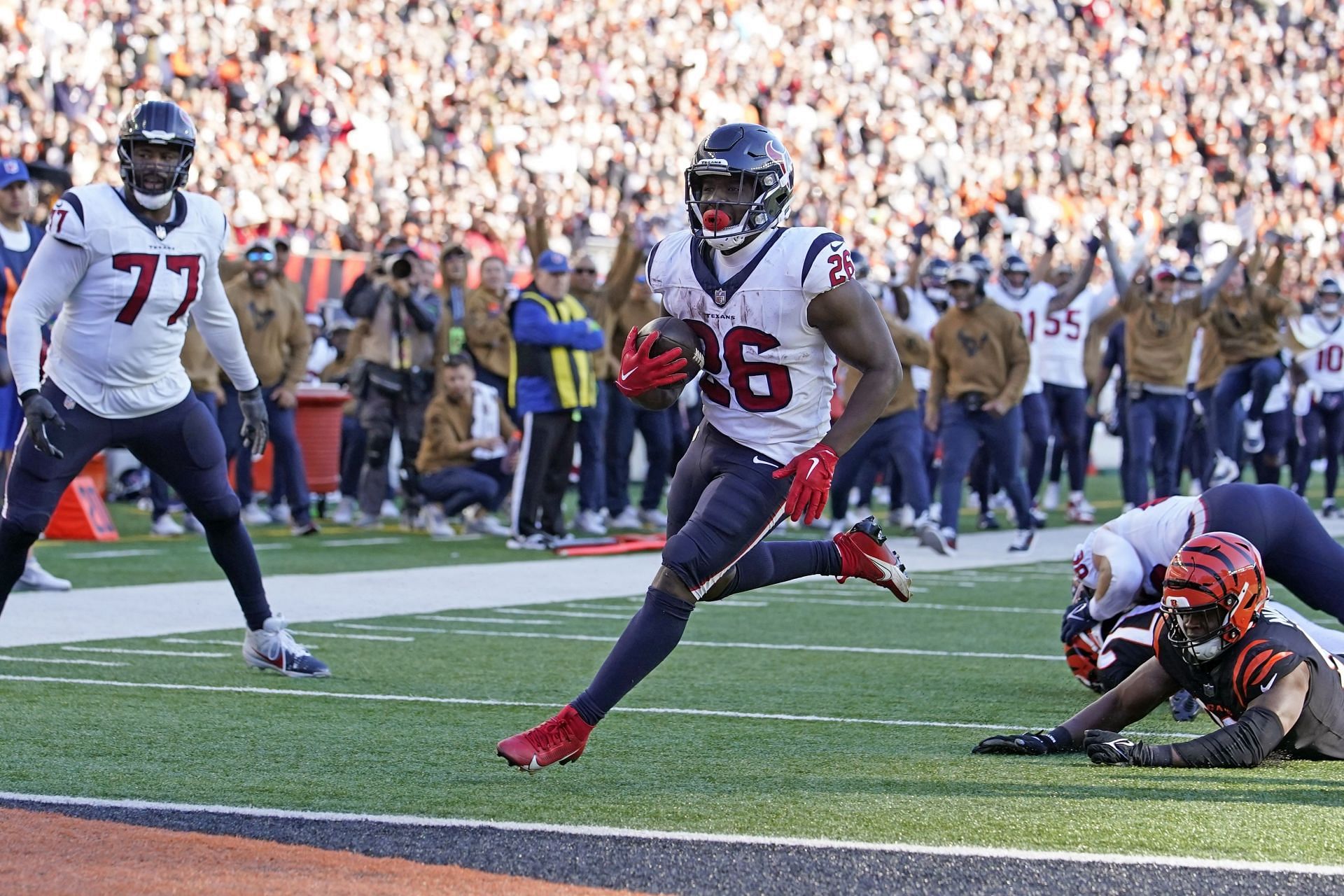 Texans Bengals Football