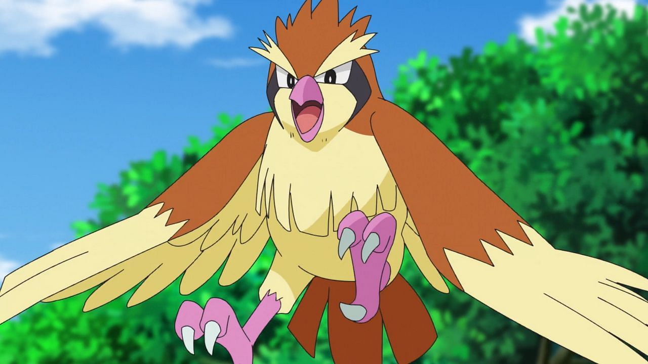 Pidgey as seen in the anime (Image via The Pokemon Company)