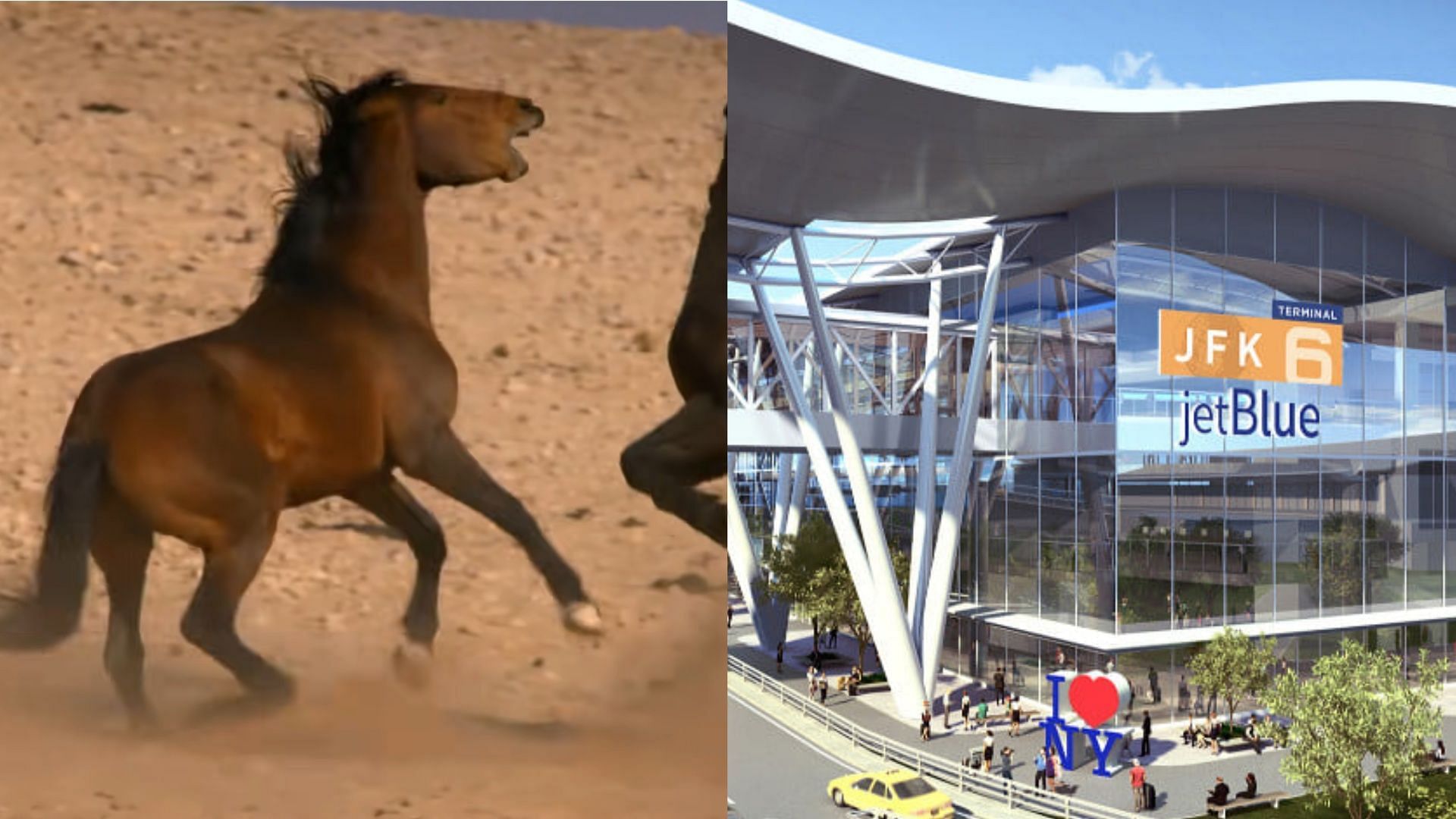 Horse on the loose compelled airliner to return to JFK Airport. (Image via YouTube/Nat Geo Wild, Facebook/John F. Kennedy International Airport - JFK)