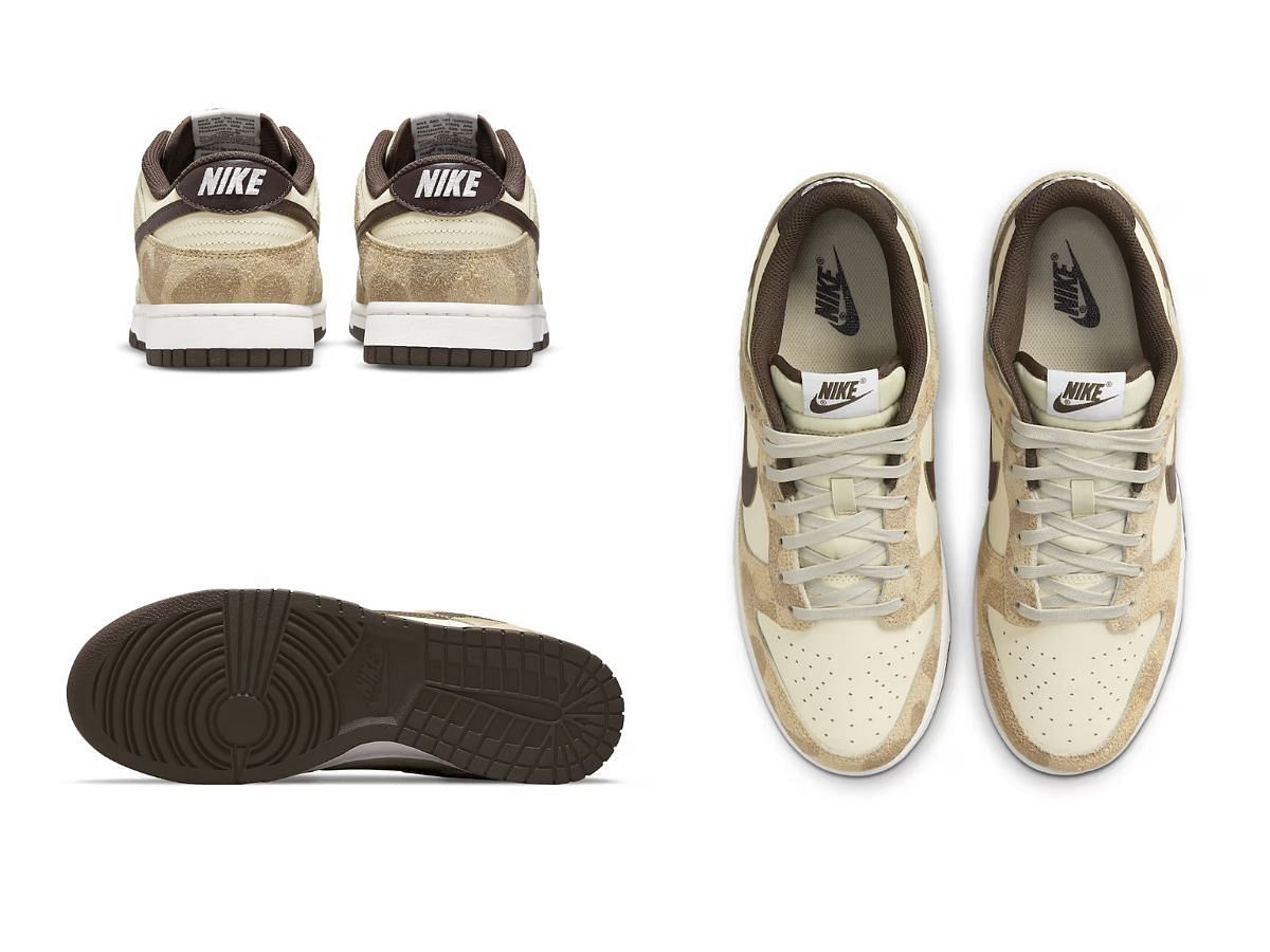 Overview of Nike Dunk Low Premium &ldquo;Giraffe&rdquo; sneakers (Image via SBD)