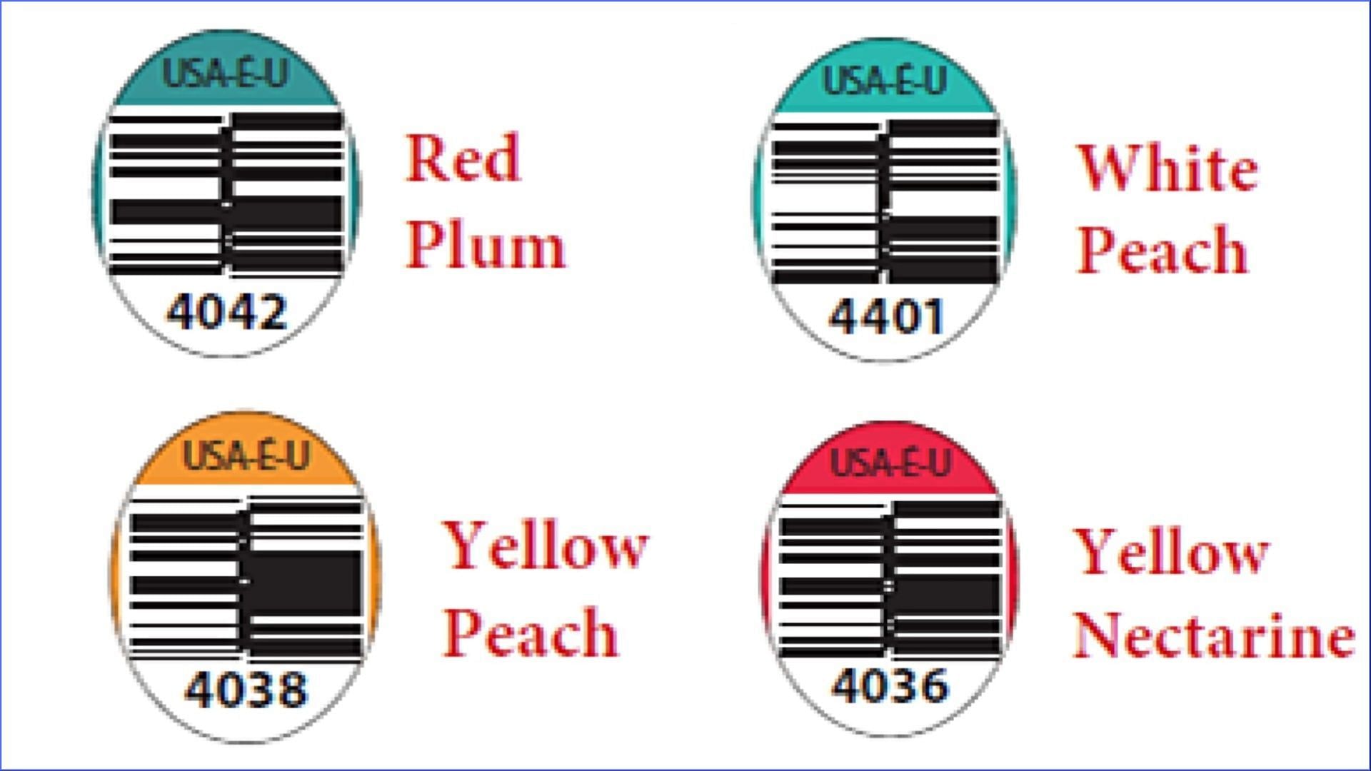 The fruits recalled by HMC Farms may be contaminated with Listeria Monocytogenes (Image via FDA)