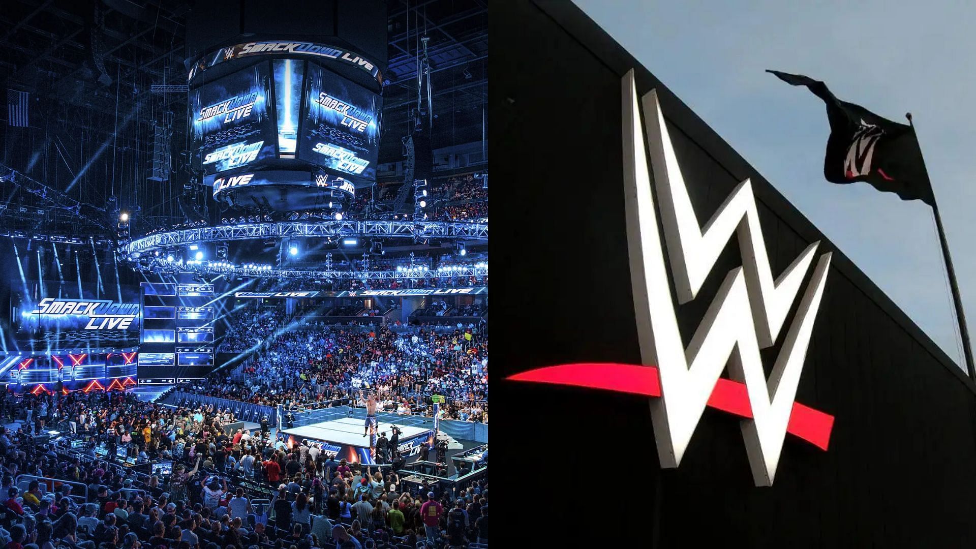 Which WWE star recently had a successful venture outside wrestling?