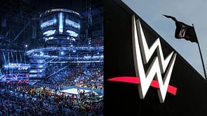 [PHOTO] 33-year-old star shows off incredible body transformation and success outside WWE