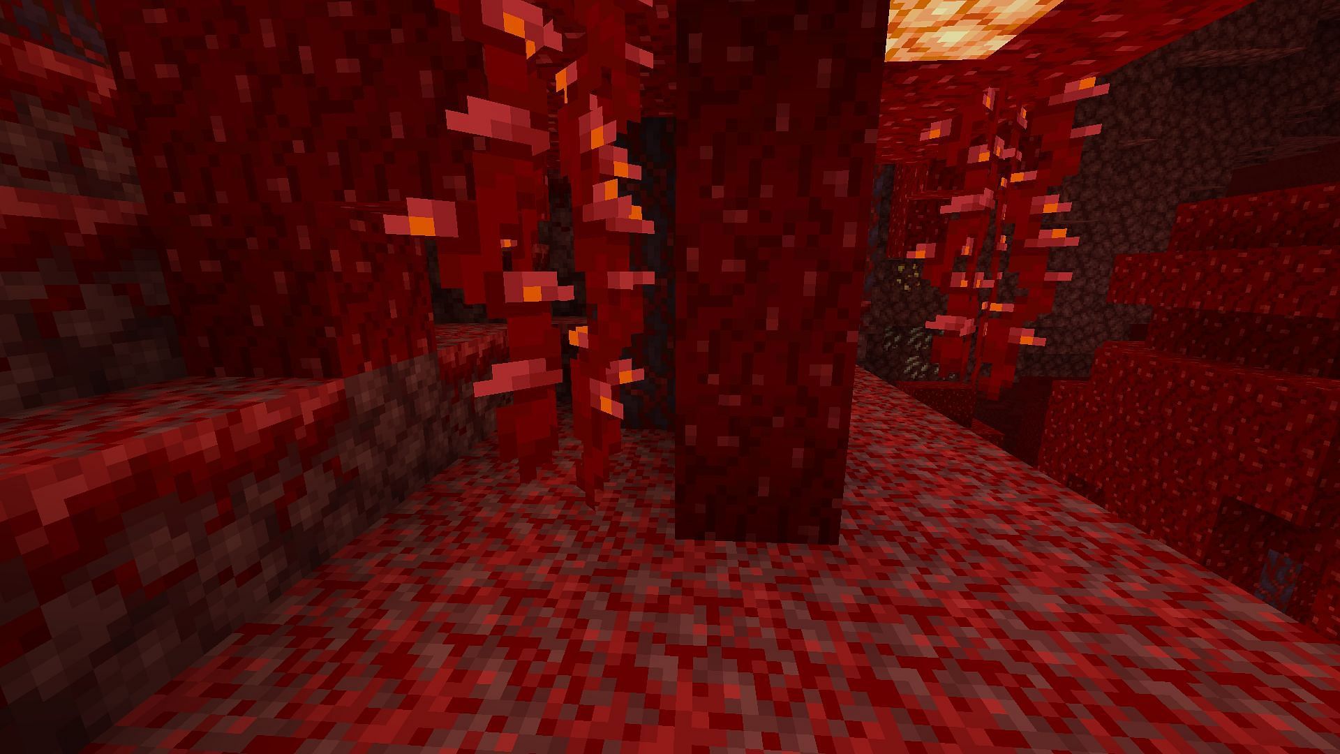 The entire Nether realm can be accessed to progress forward in Minecraft (Image via Mojang)