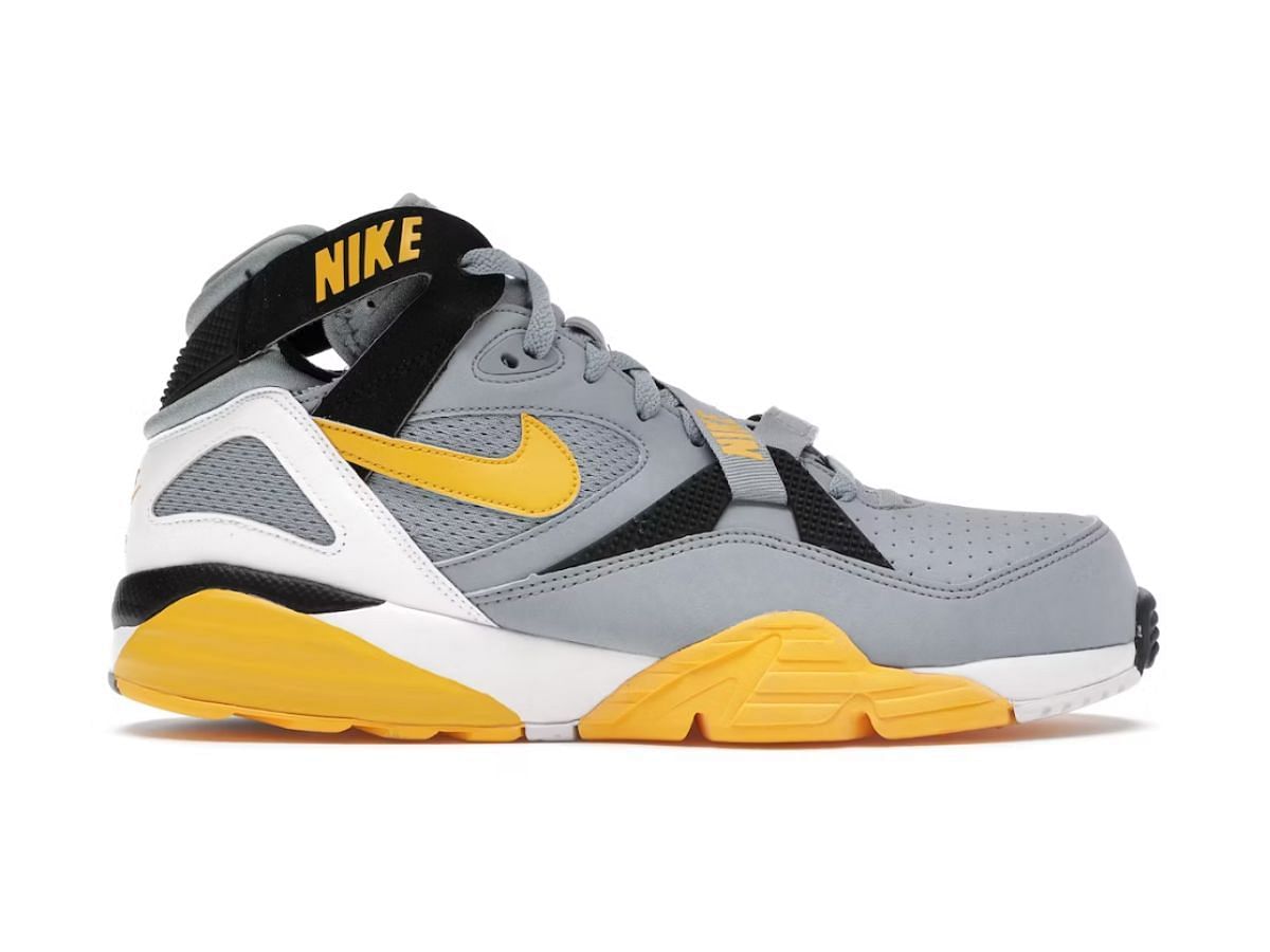 The Nike Air Trainer Max 91 