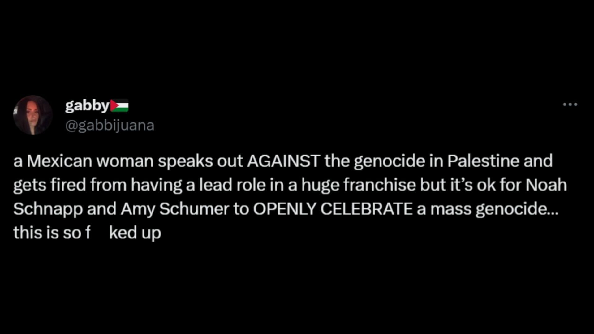Netizens call out Hollywood for not firing Noah Schnapp or Amy Schumer but dropping Barrera for pro-Palestine posts. (Image via X/@gabbijuana)