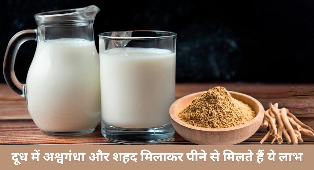 दूध में अश्वगंधा और शहद मिलाकर पीने से मिलते हैं ये लाभ(फोटो-Sportskeeda hindi)