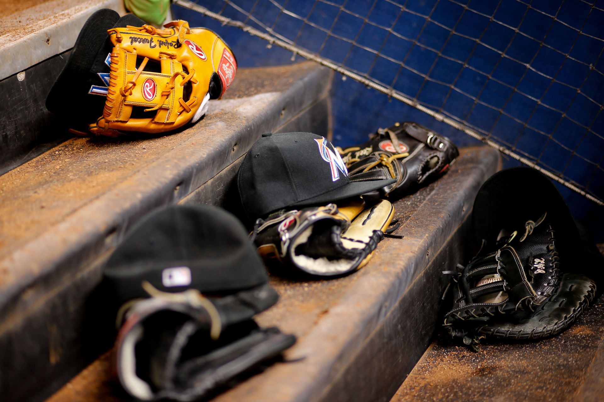 Citi Field Park