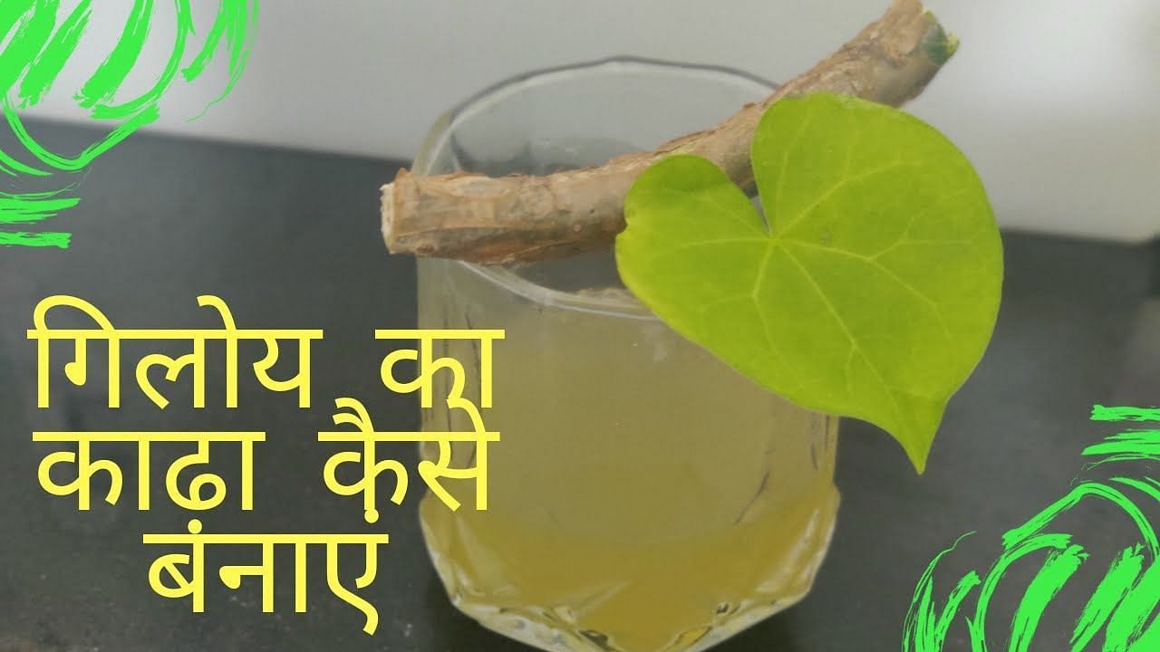 गिलोय का काढ़ा पीने के फायदे (sportskeeda Hindi) 