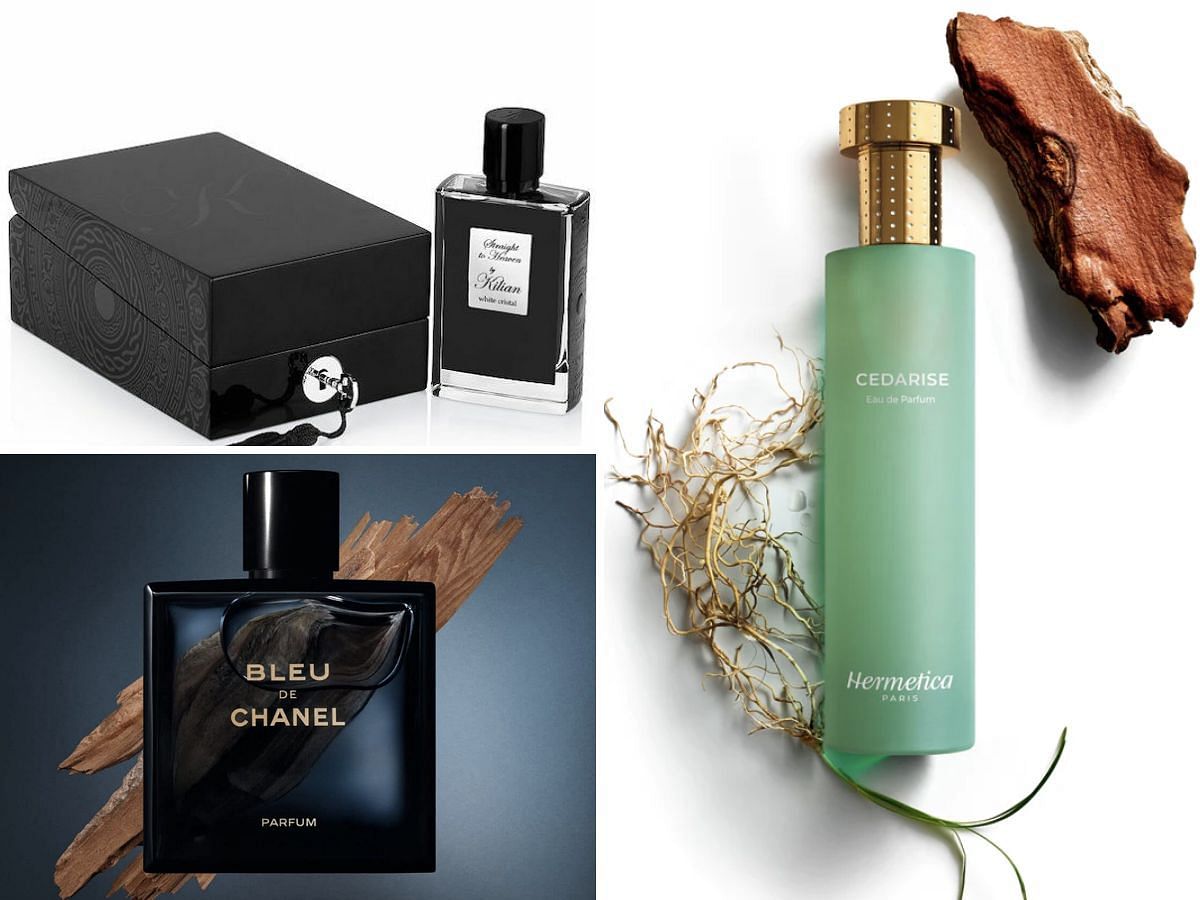 7 best cedar fragrances for men this winter 2023