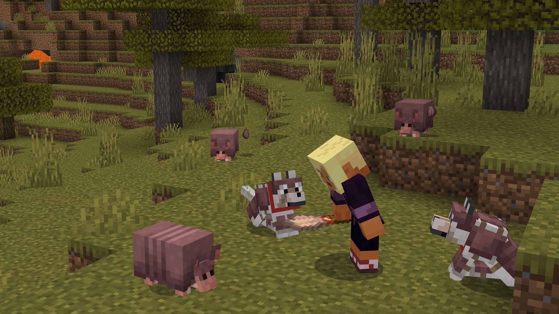 Joueur utilisant un pinceau sur un tatou (Image via Mojang)