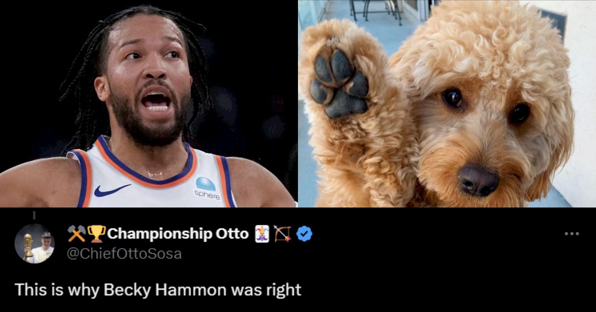 Fans give absurd responses to Jalen Brunson revealing his dog