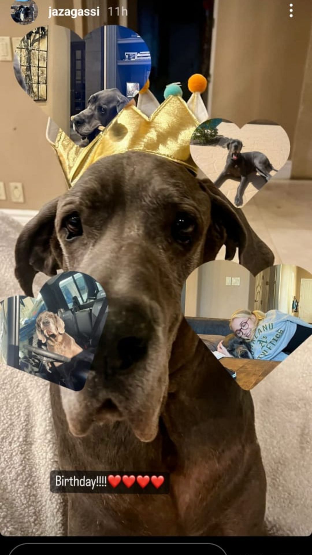 Jaz shared birthday pictures of her dog