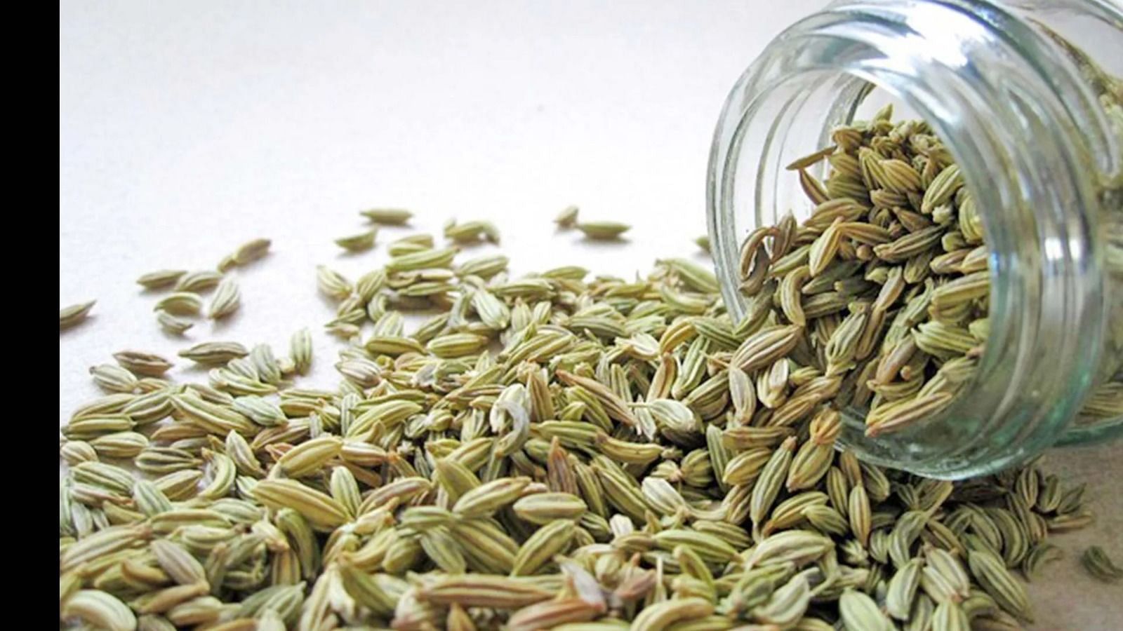 Fennel Seed (Image via Freepik)