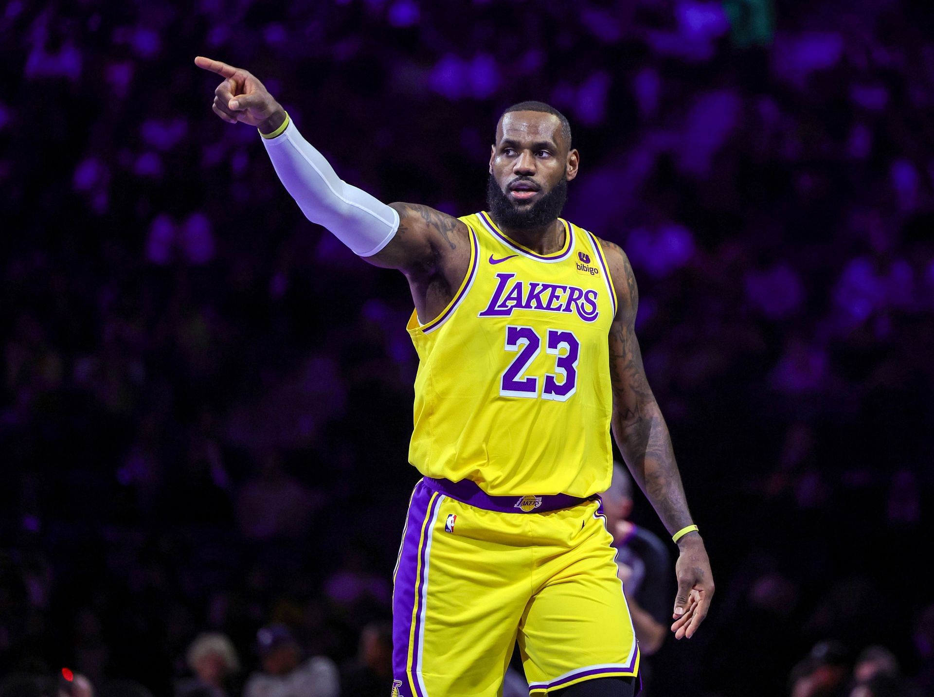 LeBron James of the LA Lakers