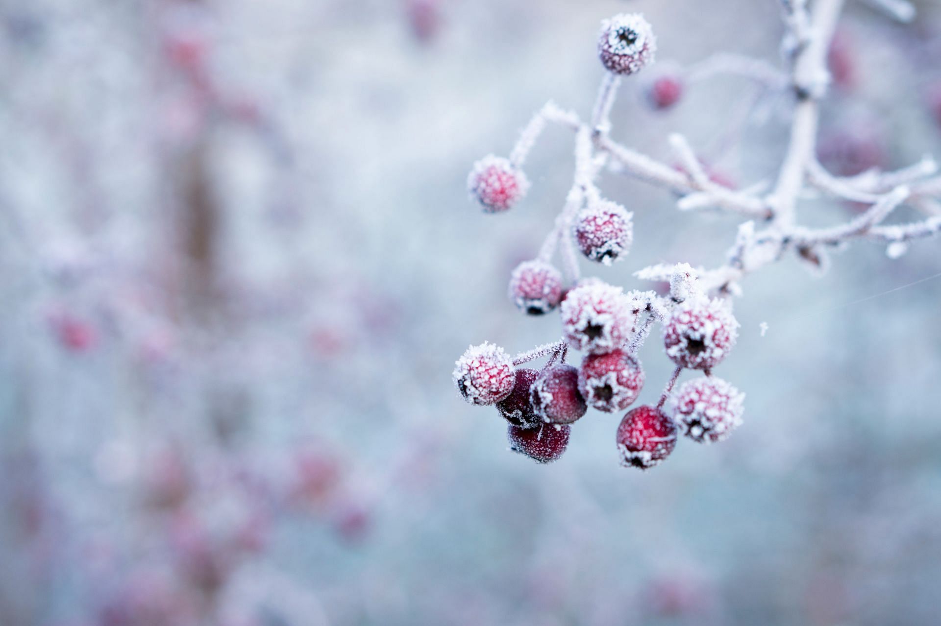 Winter Wellness (Image via Unsplash/Galina N)
